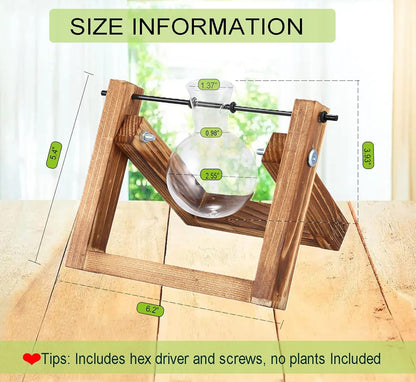 DMG Plant Terrarium with Wooden Stand, Glass Desktop Planter with Retro Wooden Stand and Plant Terrarium Vase for Indoor Office Desk Decor Accessories (1 Bulbs)