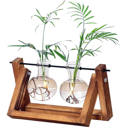 DMG Plant Terrarium with Wooden Stand, Glass Desktop Planter with Retro Wooden Stand and Plant Terrarium Vase for Indoor Office Desk Decor Accessories (1 Bulbs)