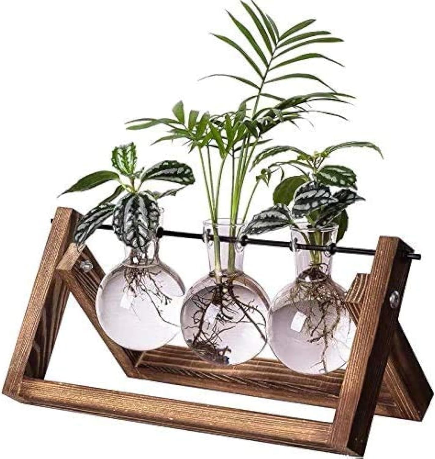 DMG Plant Terrarium with Wooden Stand, Glass Desktop Planter with Retro Wooden Stand and Plant Terrarium Vase for Indoor Office Desk Decor Accessories (1 Bulbs)