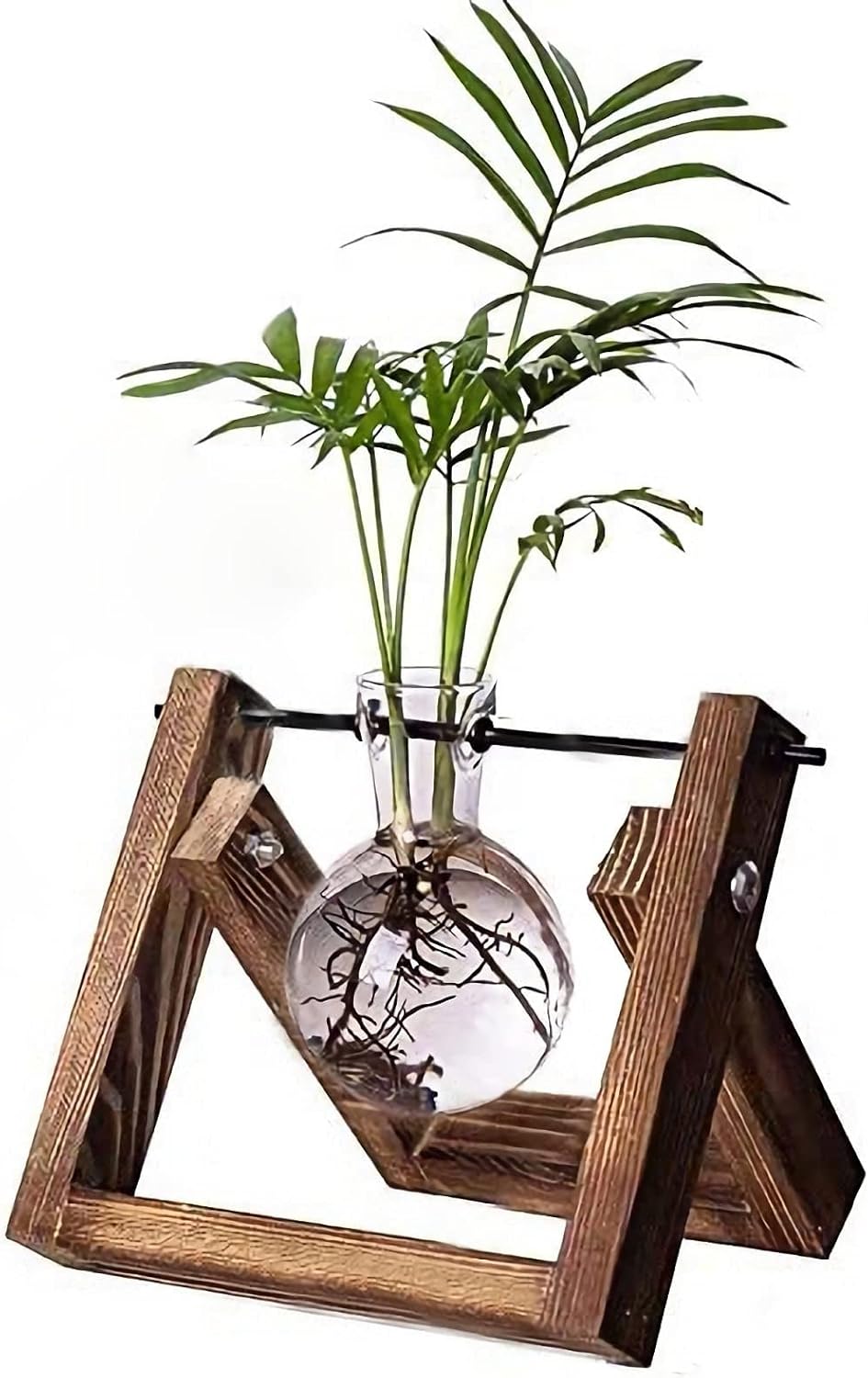 DMG Plant Terrarium with Wooden Stand, Glass Desktop Planter with Retro Wooden Stand and Plant Terrarium Vase for Indoor Office Desk Decor Accessories (1 Bulbs)
