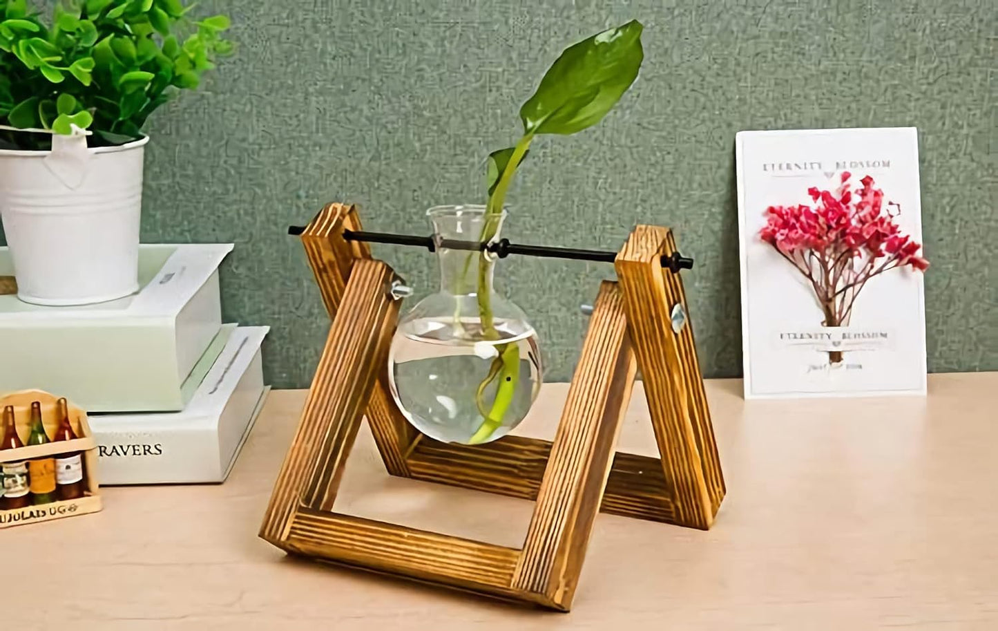 DMG Plant Terrarium with Wooden Stand, Glass Desktop Planter with Retro Wooden Stand and Plant Terrarium Vase for Indoor Office Desk Decor Accessories (1 Bulbs)