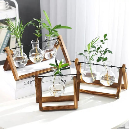 DMG Plant Terrarium with Wooden Stand, Glass Desktop Planter with Retro Wooden Stand and Plant Terrarium Vase for Indoor Office Desk Decor Accessories (1 Bulbs)