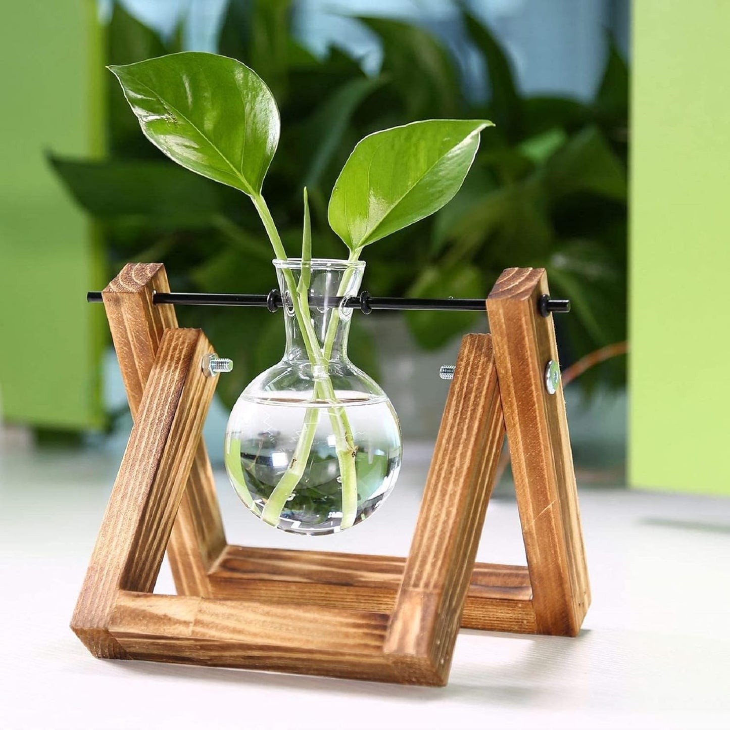 DMG Plant Terrarium with Wooden Stand, Glass Desktop Planter with Retro Wooden Stand and Plant Terrarium Vase for Indoor Office Desk Decor Accessories (1 Bulbs)