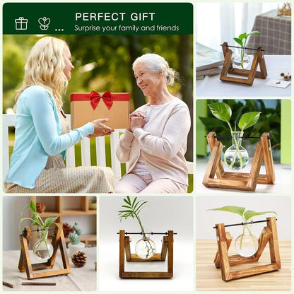 DMG Plant Terrarium with Wooden Stand, Glass Desktop Planter with Retro Wooden Stand and Plant Terrarium Vase for Indoor Office Desk Decor Accessories (1 Bulbs)